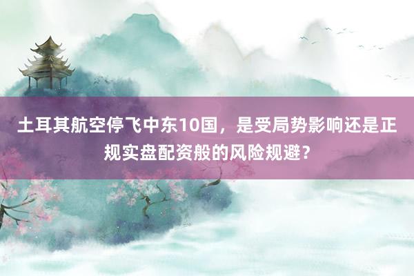 土耳其航空停飞中东10国，是受局势影响还是正规实盘配资般的风险规避？