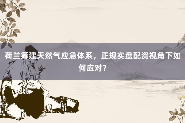 荷兰筹建天然气应急体系，正规实盘配资视角下如何应对？