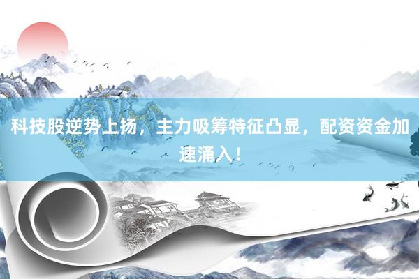 科技股逆势上扬，主力吸筹特征凸显，配资资金加速涌入！