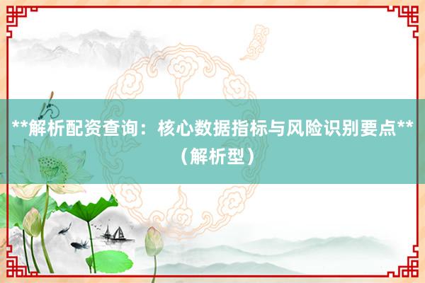 **解析配资查询：核心数据指标与风险识别要点**（解析型）