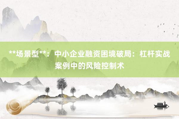 **场景型**：中小企业融资困境破局：杠杆实战案例中的风险控制术