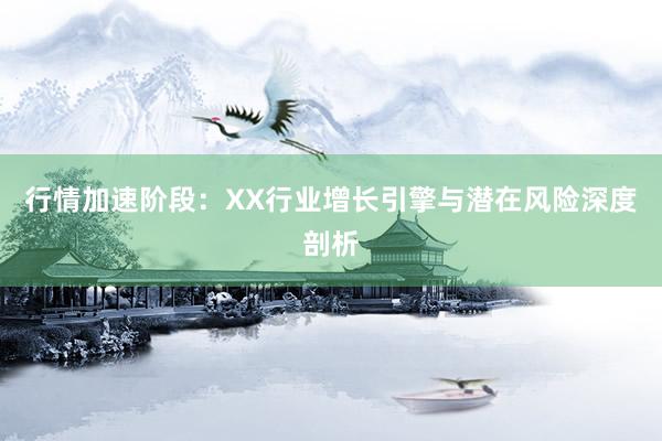 行情加速阶段：XX行业增长引擎与潜在风险深度剖析