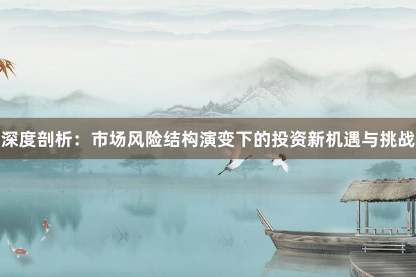 深度剖析：市场风险结构演变下的投资新机遇与挑战