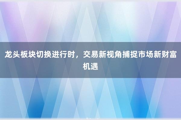 龙头板块切换进行时，交易新视角捕捉市场新财富机遇