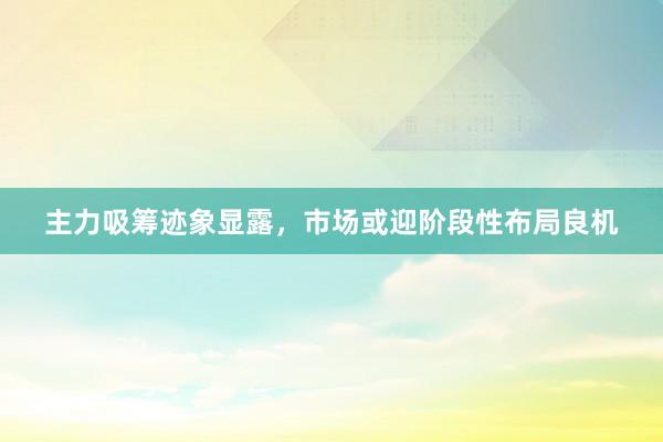 主力吸筹迹象显露，市场或迎阶段性布局良机