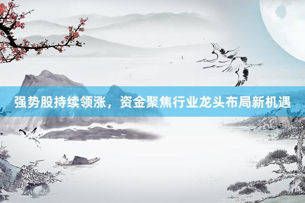 强势股持续领涨，资金聚焦行业龙头布局新机遇