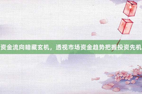 资金流向暗藏玄机，透视市场资金趋势把握投资先机