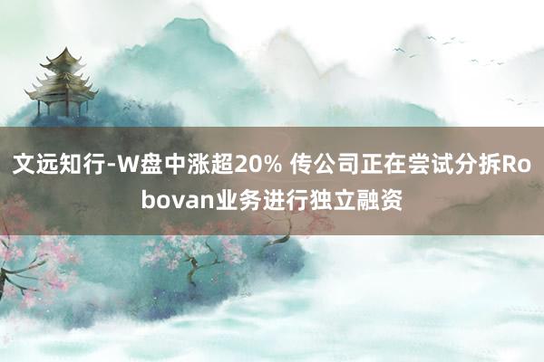文远知行-W盘中涨超20% 传公司正在尝试分拆Robovan业务进行独立融资