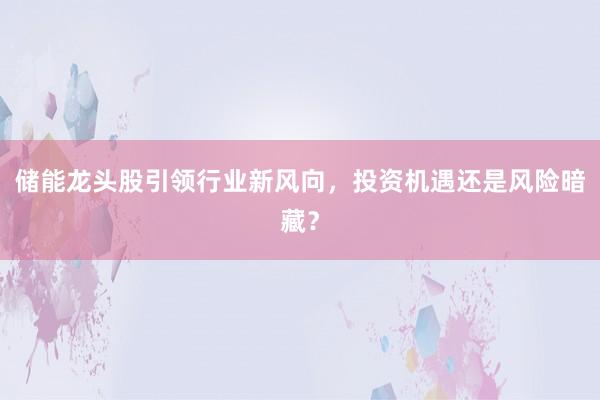 储能龙头股引领行业新风向，投资机遇还是风险暗藏？