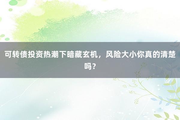 可转债投资热潮下暗藏玄机，风险大小你真的清楚吗？