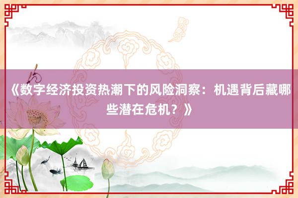 《数字经济投资热潮下的风险洞察：机遇背后藏哪些潜在危机？》
