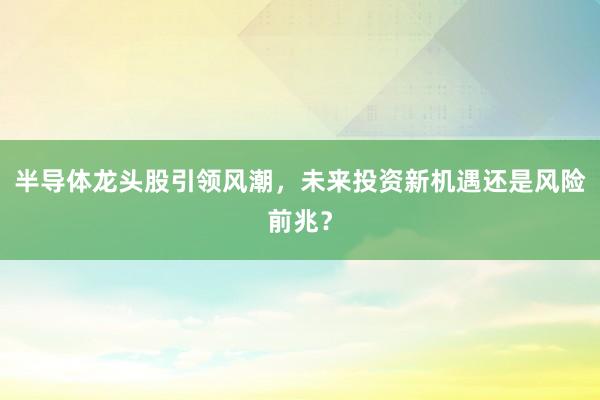 半导体龙头股引领风潮，未来投资新机遇还是风险前兆？