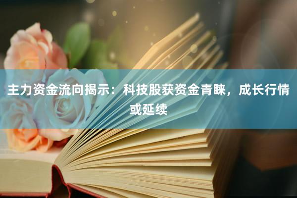 主力资金流向揭示：科技股获资金青睐，成长行情或延续