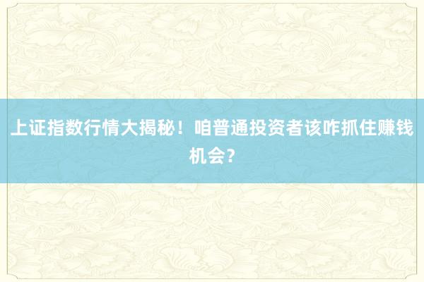 上证指数行情大揭秘！咱普通投资者该咋抓住赚钱机会？