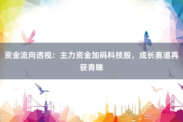 资金流向透视：主力资金加码科技股，成长赛道再获青睐