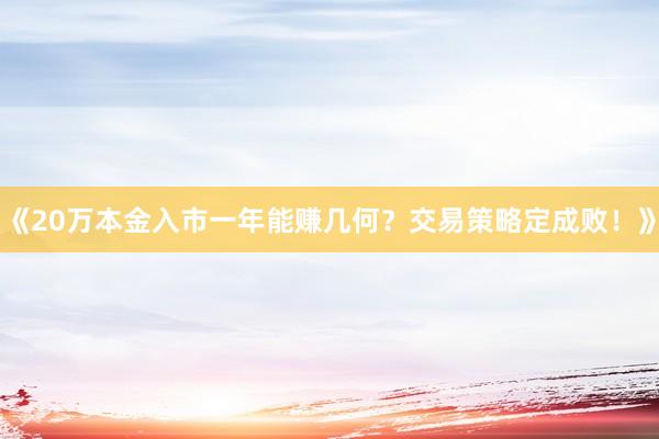 《20万本金入市一年能赚几何？交易策略定成败！》