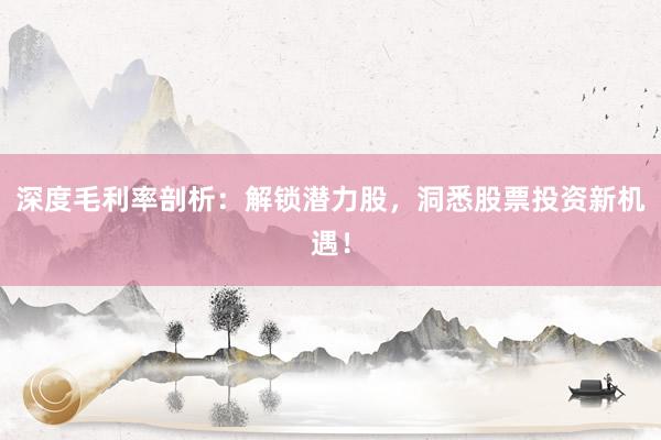 深度毛利率剖析：解锁潜力股，洞悉股票投资新机遇！