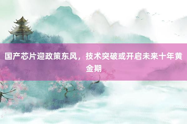 国产芯片迎政策东风，技术突破或开启未来十年黄金期