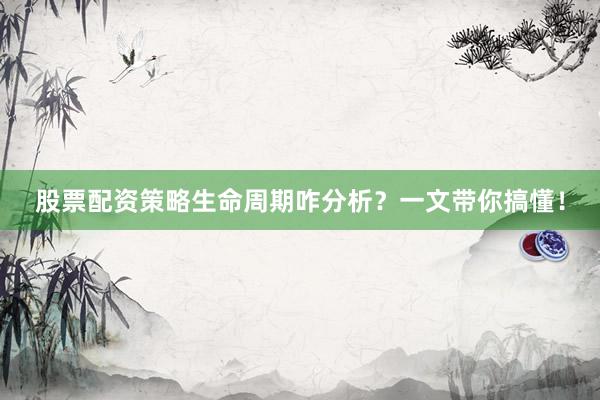 股票配资策略生命周期咋分析？一文带你搞懂！