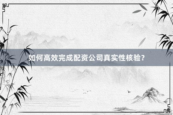 如何高效完成配资公司真实性核验？