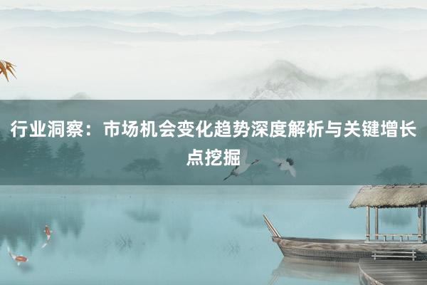 行业洞察：市场机会变化趋势深度解析与关键增长点挖掘