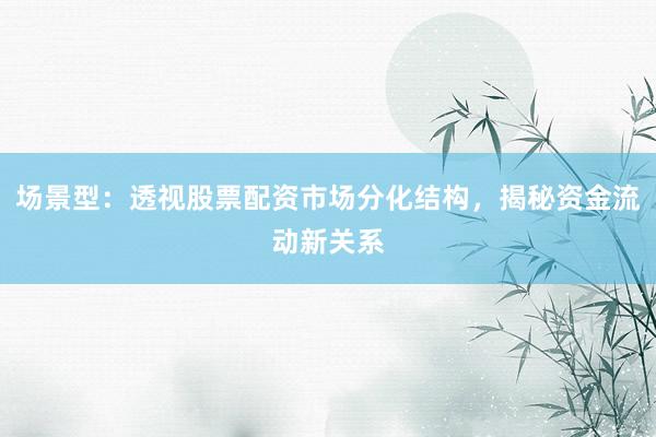 场景型：透视股票配资市场分化结构，揭秘资金流动新关系