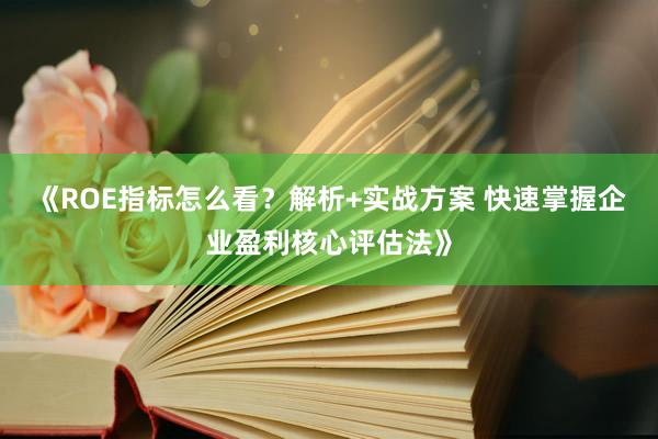 《ROE指标怎么看？解析+实战方案 快速掌握企业盈利核心评估法》