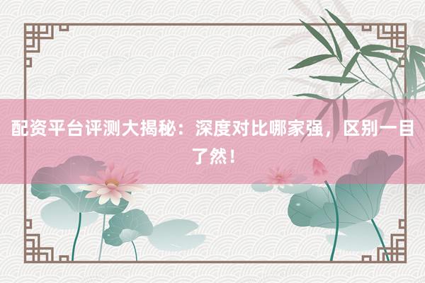 配资平台评测大揭秘：深度对比哪家强，区别一目了然！